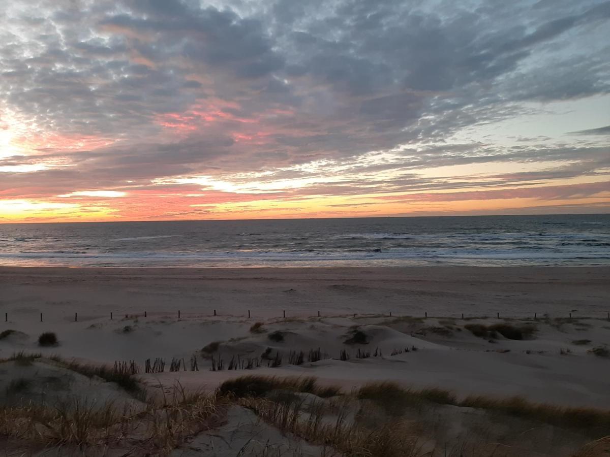 Boshuisje Petten Aan Zee Exterior foto